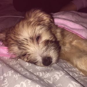 Meet your Posher, Rebekah